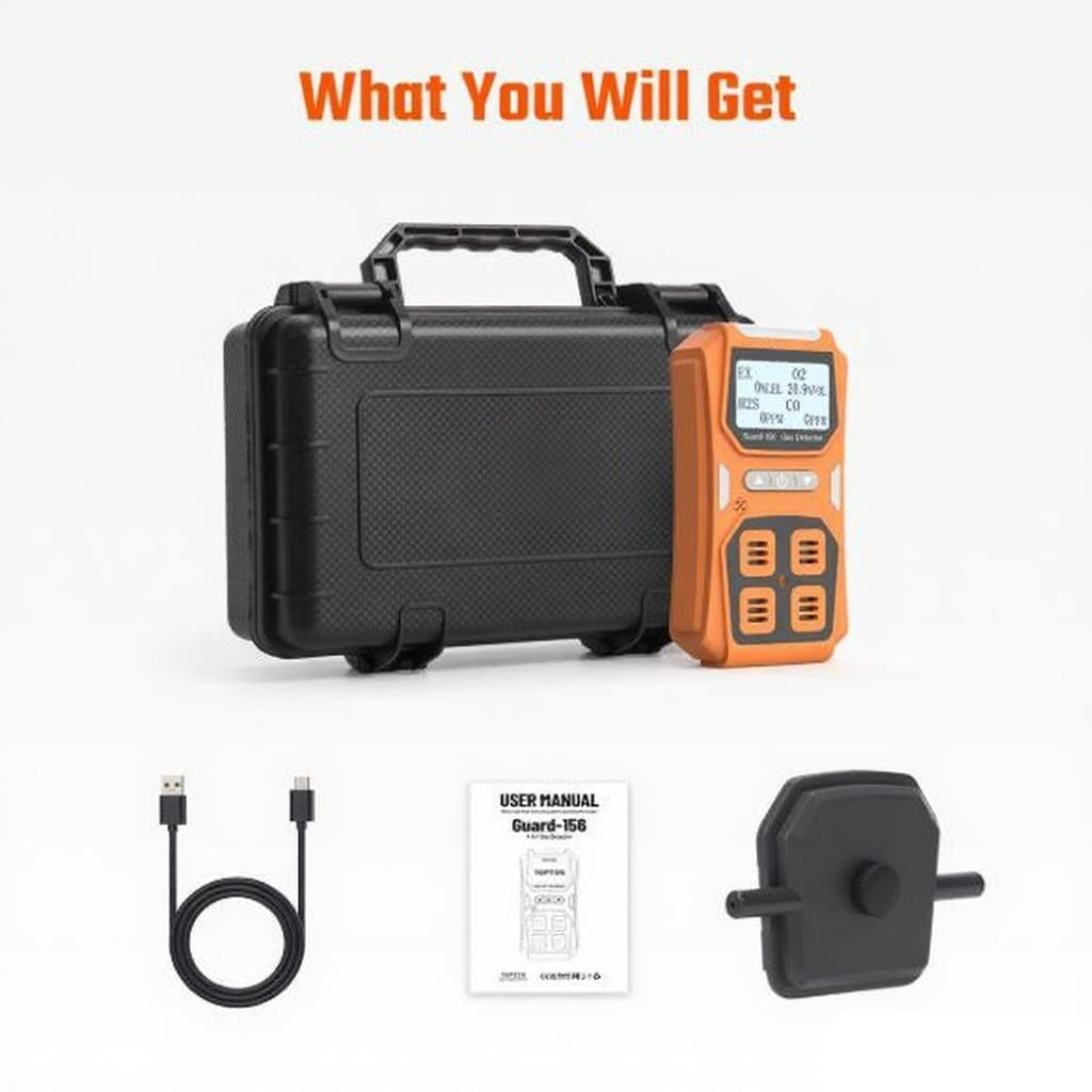 Dust and explosion proof gas monitor with triple alarm mode and quick response